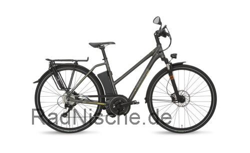 Gazelle Impulse Speed  technische daten 